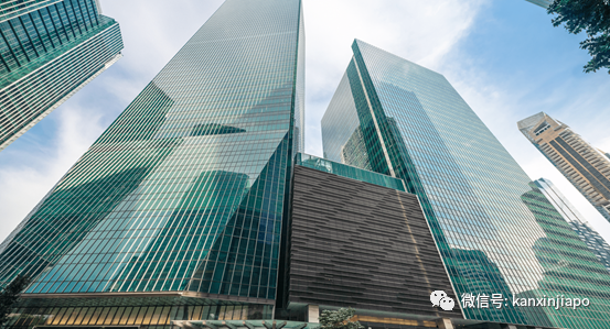 TikTok最新CEO曝光!是38歲新加坡籍帥哥