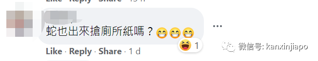 “蟒蛇要上廁所?”新加坡咖啡店驚現5米巨蟒,嚇壞攤主