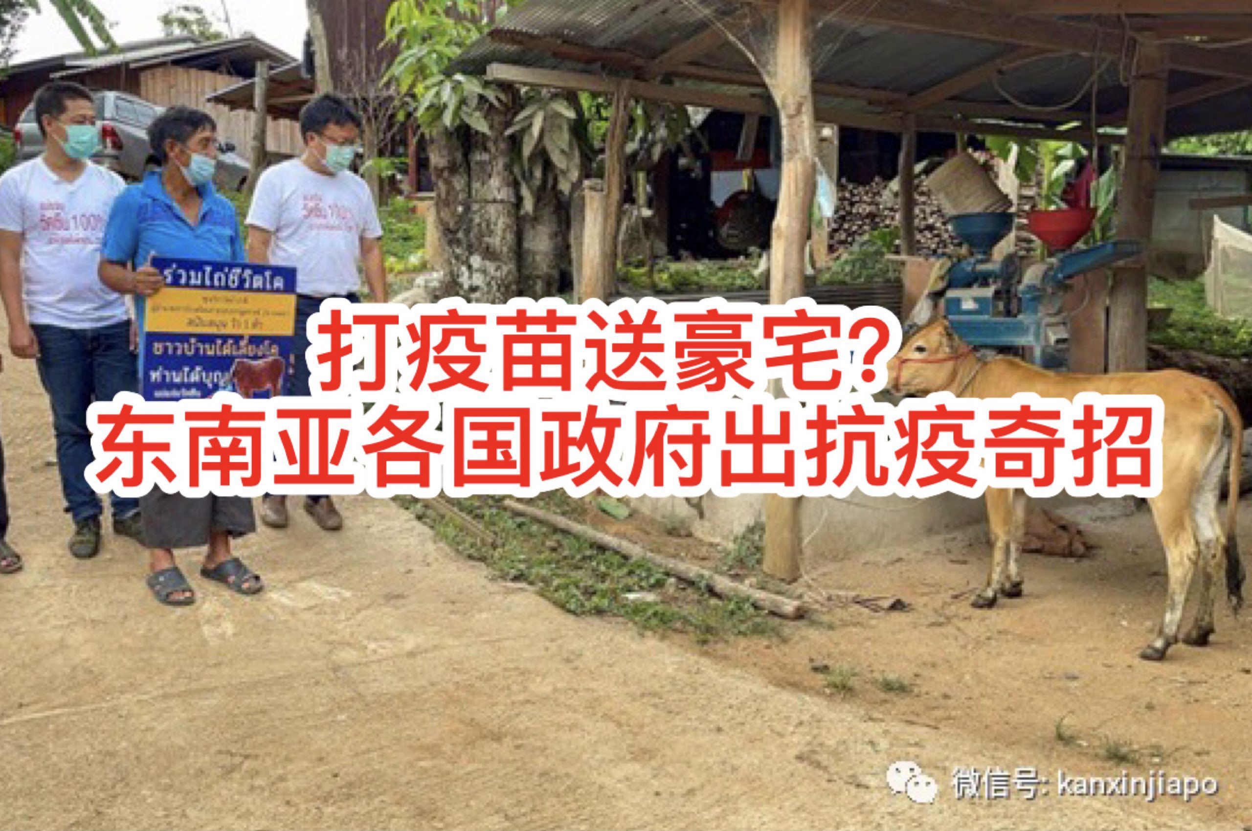 打疫苗竟然送豪华别墅,东南亚各国政府出抗疫奇招