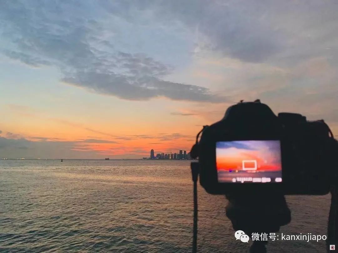 初來乍到遇上疫情,在新加坡當程序員是怎樣的感覺?