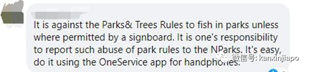 新加坡小桂林釣到大紅尾鲶魚!卻不知不覺中違法了……