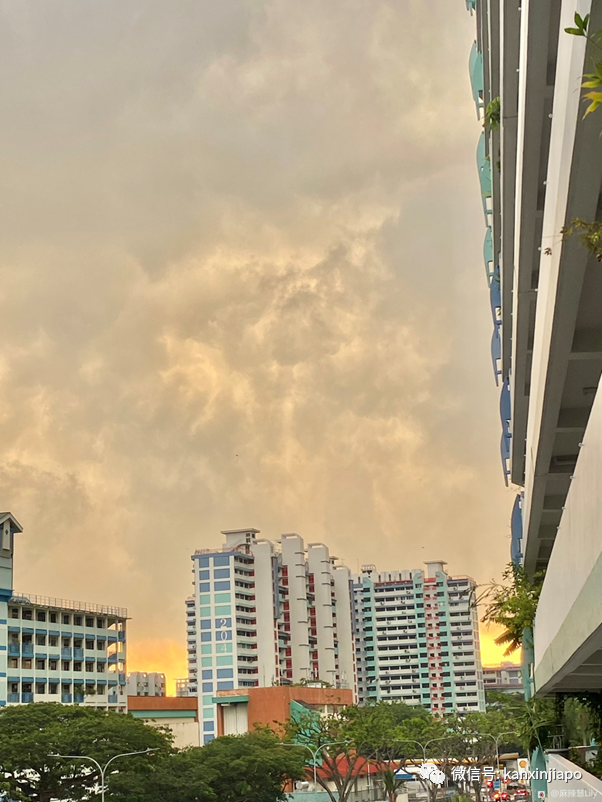 乌云、艳阳、彩虹！新加坡12小时内变换三种天气