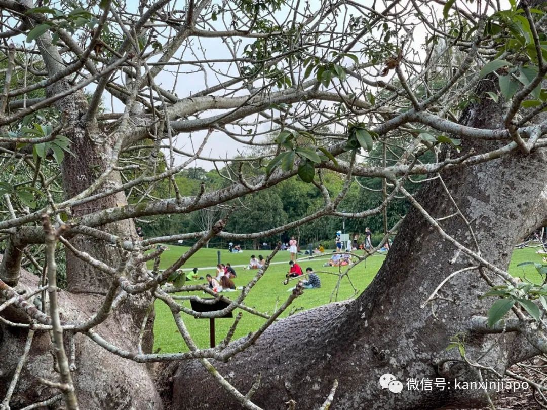 李顯龍總理怎麽休假?狂曬一大波美圖......