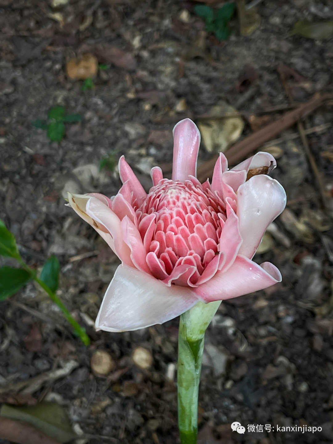 李顯龍總理怎麽休假?狂曬一大波美圖......