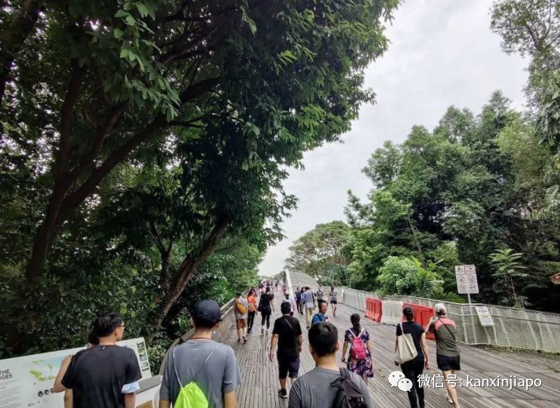 初來乍到遇上疫情,在新加坡當程序員是怎樣的感覺?