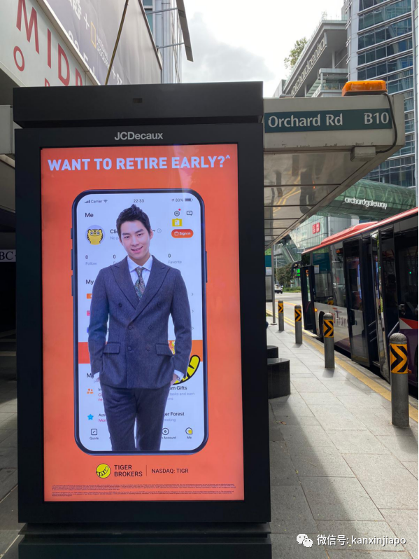 開心!今天爲這只老虎慶生,還能瓜分百萬獎金