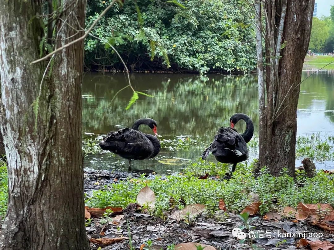 李顯龍總理怎麽休假?狂曬一大波美圖......