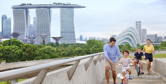 新加坡原來青睐這樣的PR候選人?這四種人更快拿到綠卡