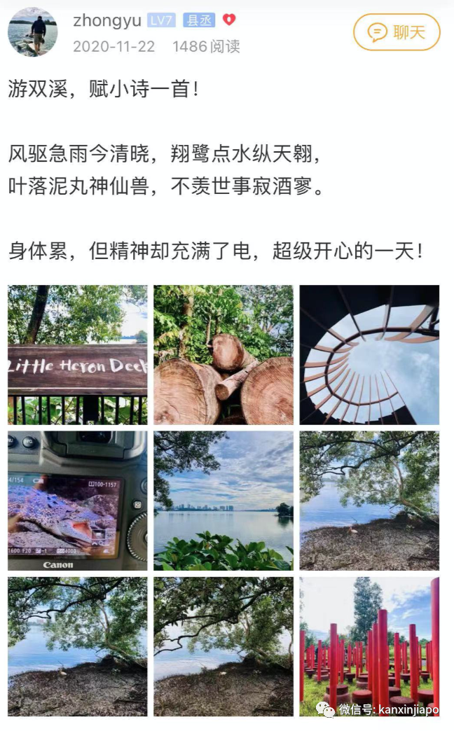 初來乍到遇上疫情,在新加坡當程序員是怎樣的感覺?