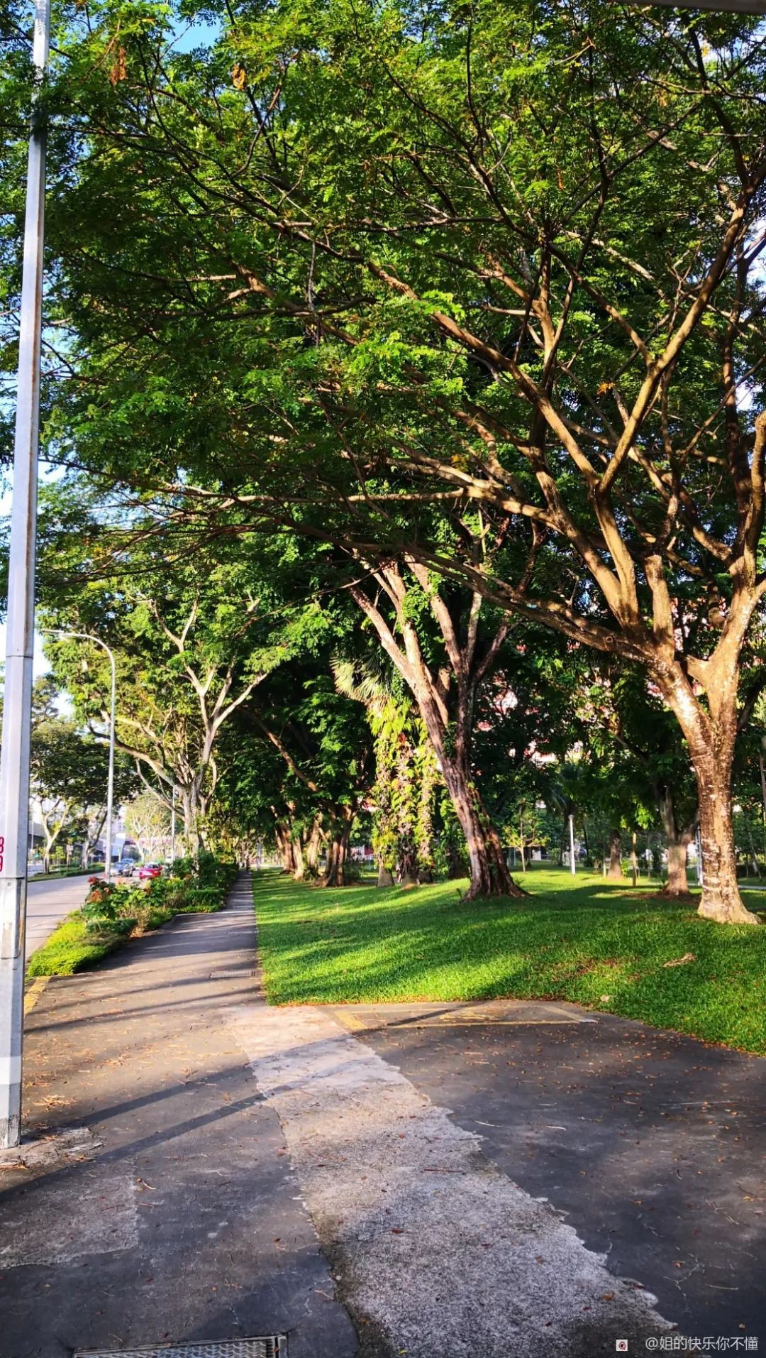 在新加坡成功接種科興疫苗!附詳細流程及體驗