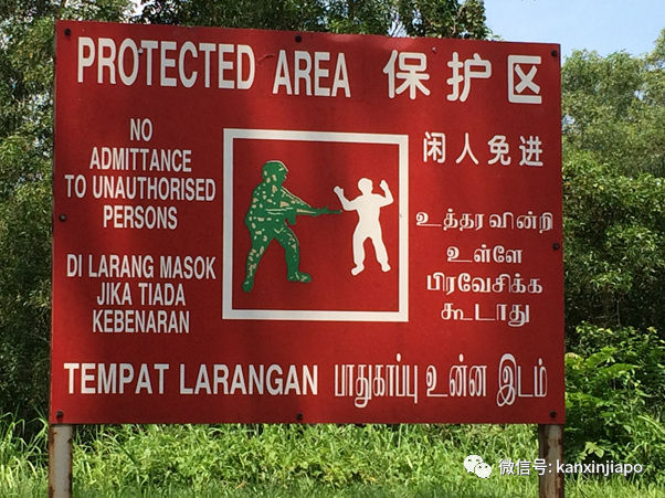 新加坡最多野生榴梿藏在这里！但采摘却是犯法的