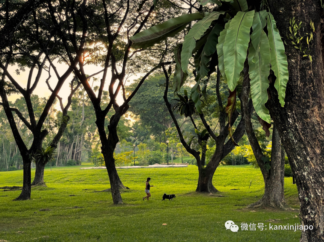 李顯龍總理怎麽休假?狂曬一大波美圖......