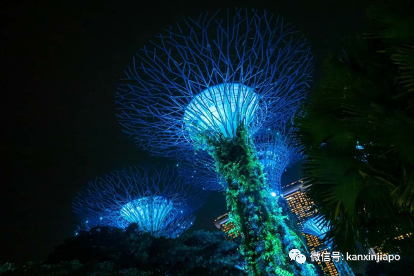 新加坡周末亮“绿光”，连李显龙都在拍！你有看到吗？