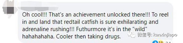 新加坡小桂林釣到大紅尾鲶魚!卻不知不覺中違法了……