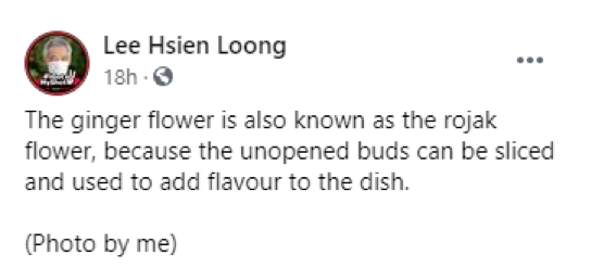 李顯龍總理怎麽休假?狂曬一大波美圖......