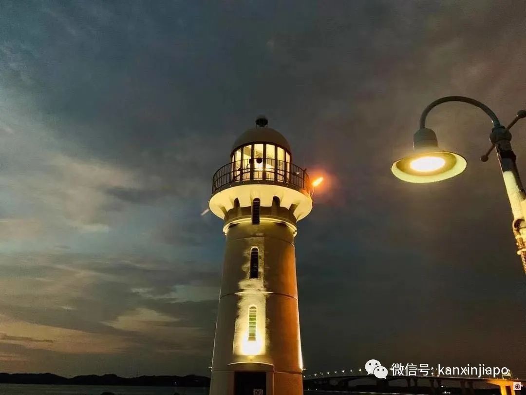 初來乍到遇上疫情,在新加坡當程序員是怎樣的感覺?