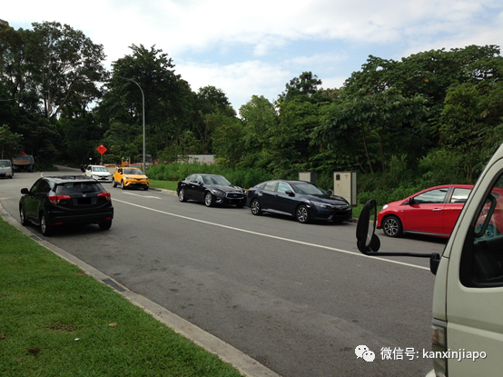 新加坡最多野生榴梿藏在這裏!但采摘卻是犯法的