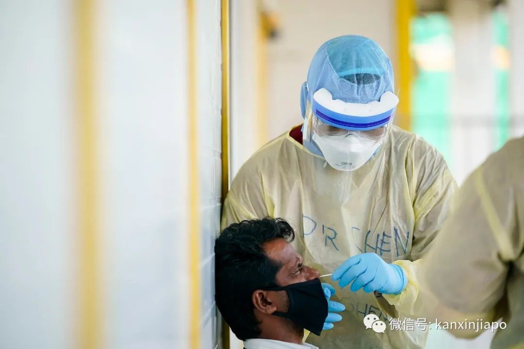 “新加坡病例飙升基于这是一个以法治国的国家”