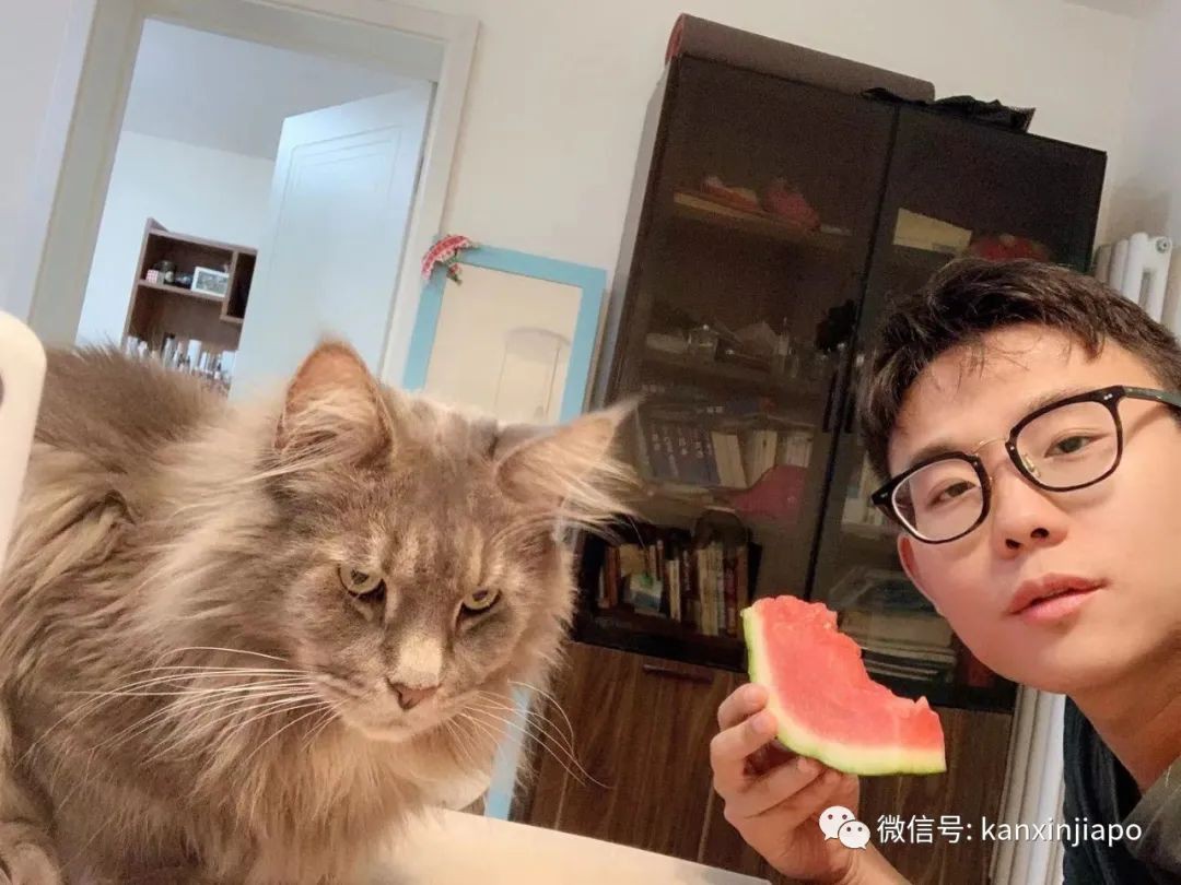 初來乍到遇上疫情,在新加坡當程序員是怎樣的感覺?