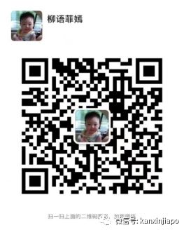 618感恩回馈，中国至新加坡海运320人民币每立方，真正冰点价！