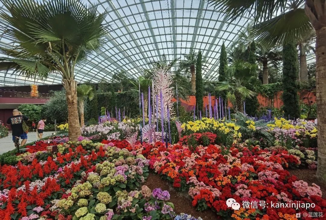 穿越魔幻国度！巨型玻璃艺术品出现在滨海湾