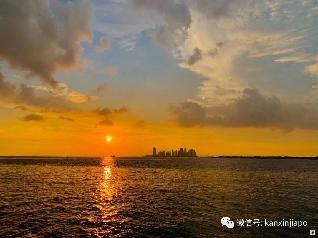 初來乍到遇上疫情,在新加坡當程序員是怎樣的感覺?