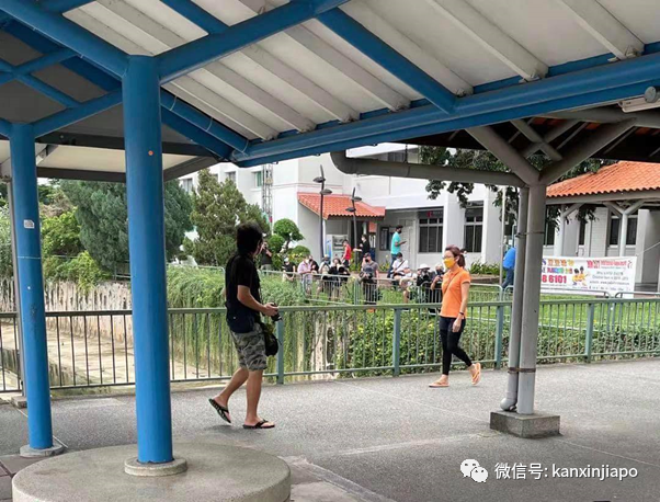 新加坡组屋区出现“失恋”鸳鸯，引众人围观