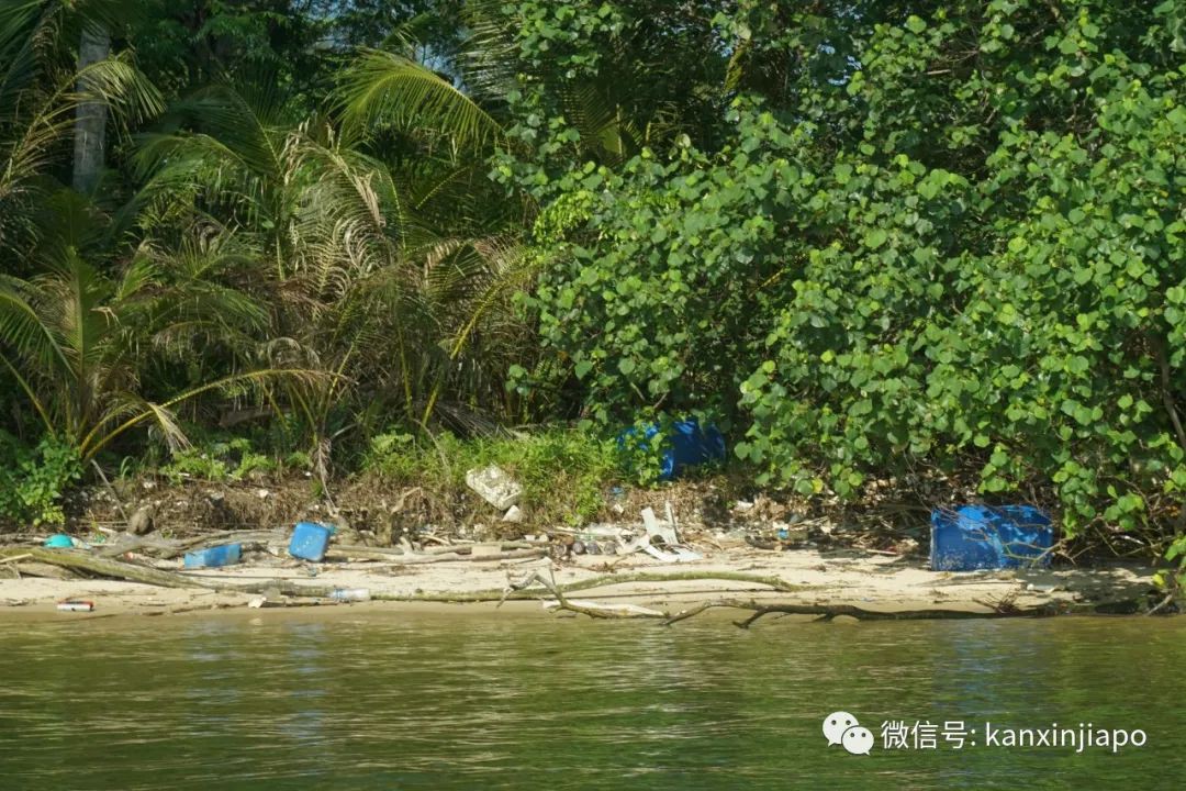 骇人！新加坡滨海码头成了露天垃圾场