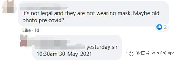 新加坡小桂林釣到大紅尾鲶魚!卻不知不覺中違法了……