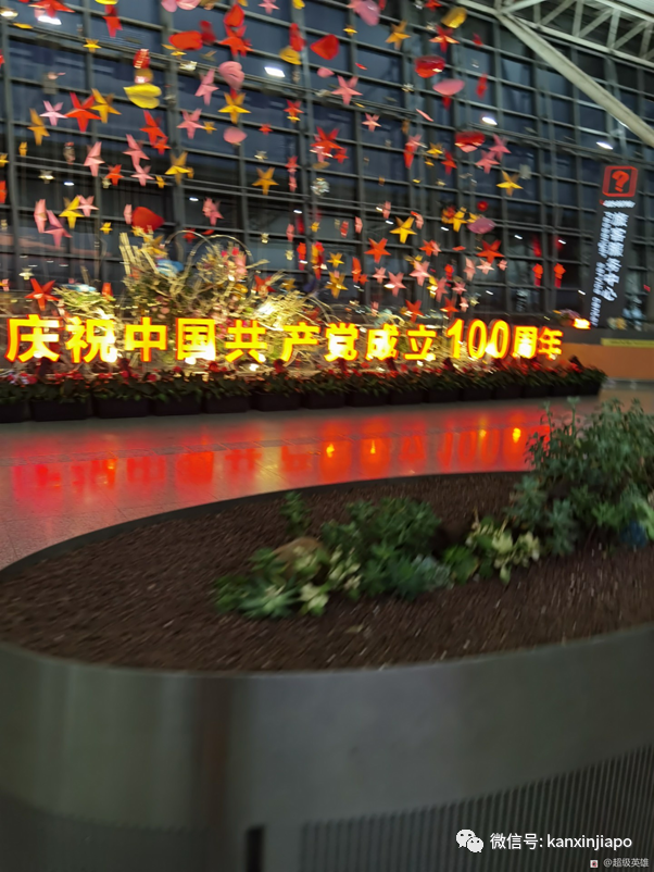 新加坡飛廣州全記錄!“名字和護照號碼打錯,綠碼都申請不了”