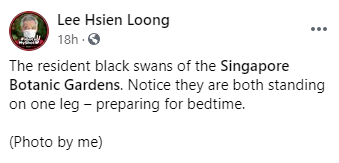 李顯龍總理怎麽休假?狂曬一大波美圖......