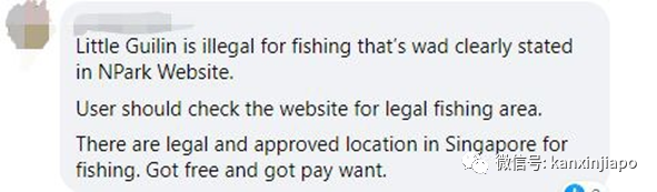 新加坡小桂林釣到大紅尾鲶魚!卻不知不覺中違法了……