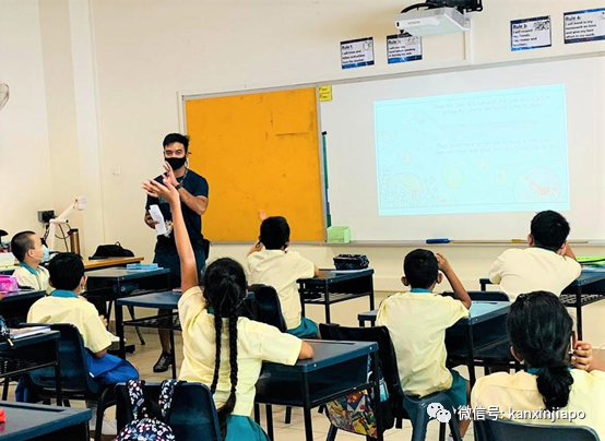 新加坡入小學全程線上報名全攻略!吐血整理……