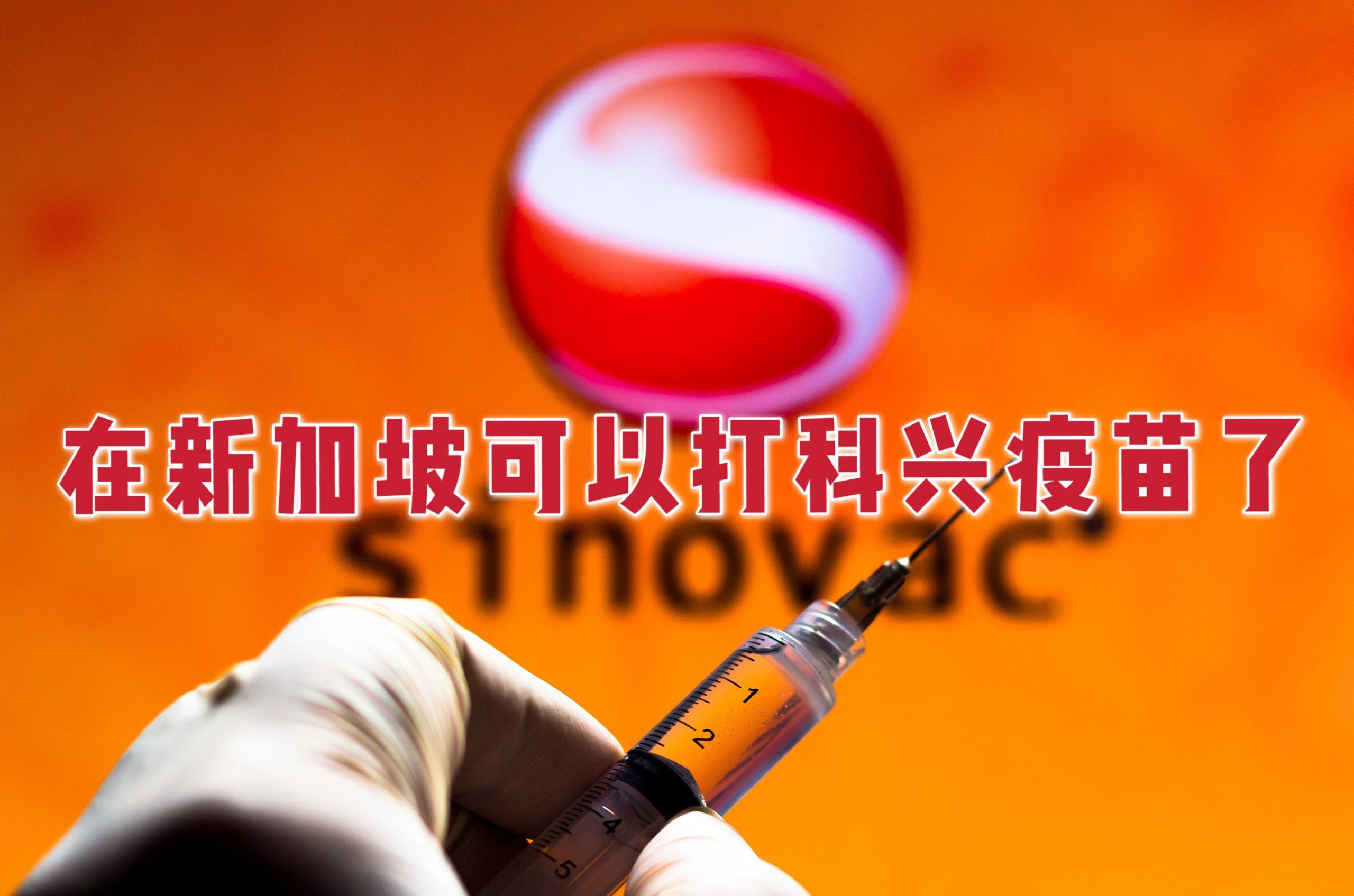 今增31,社区24|世卫正式批准紧急使用科兴疫苗!新加坡也可以接种了
