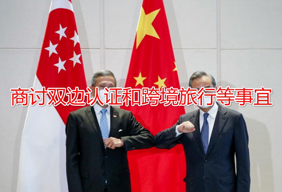 东盟、中国商讨疫苗证书认证与跨境旅行安排