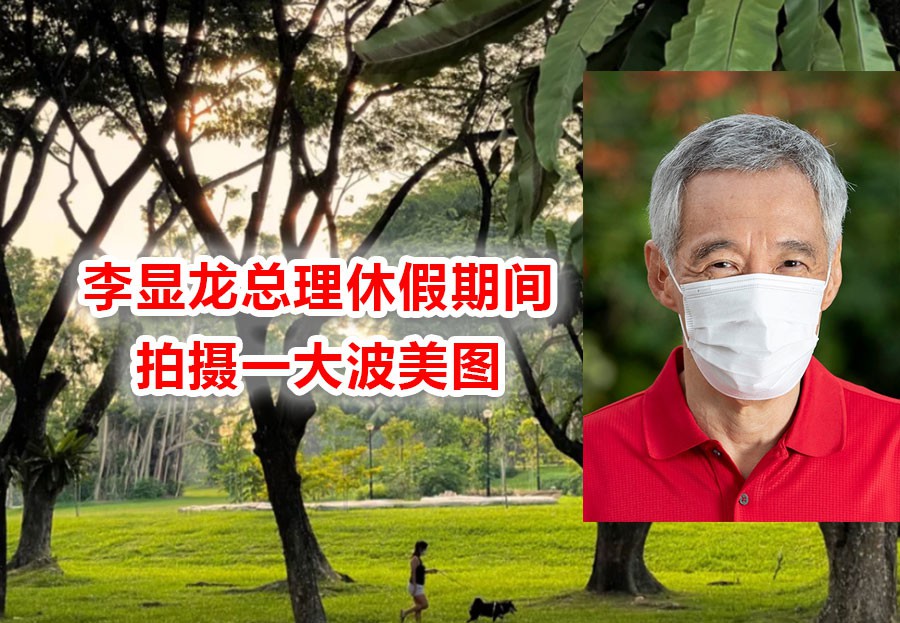 李显龙总理怎么休假?狂晒一大波美图……