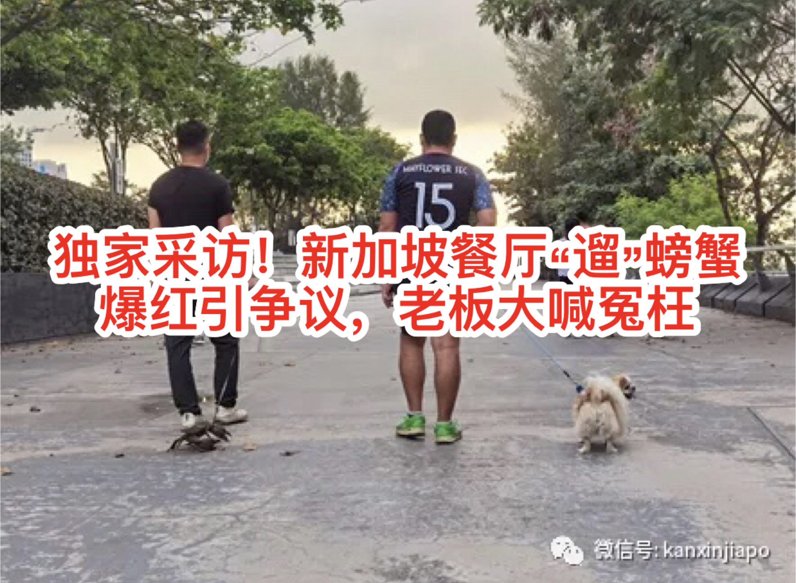 独家采访!新加坡餐厅“遛”螃蟹爆红引争议,老板大喊冤枉