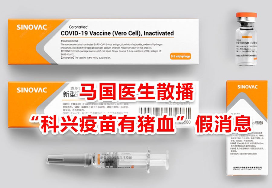 称科兴疫苗有猪血成分,医生被控上庭!印尼数据创新高
