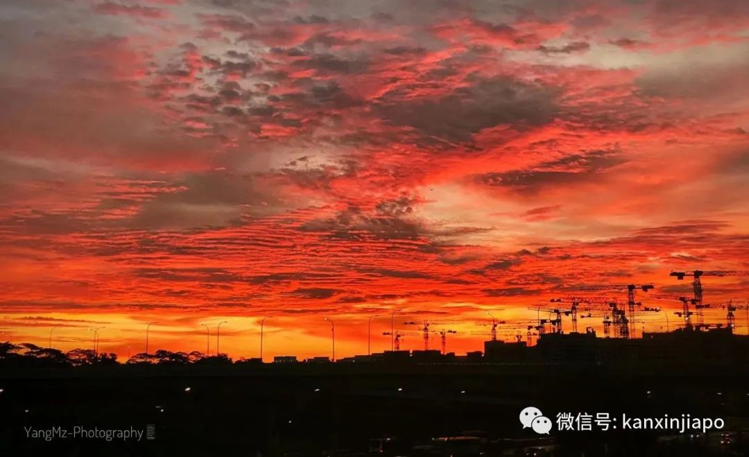疯狂刷屏！新加坡橘红色晚霞，简直美翻了