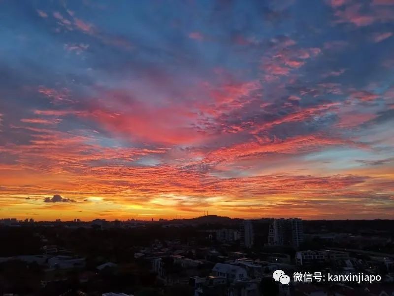疯狂刷屏！新加坡橘红色晚霞，简直美翻了
