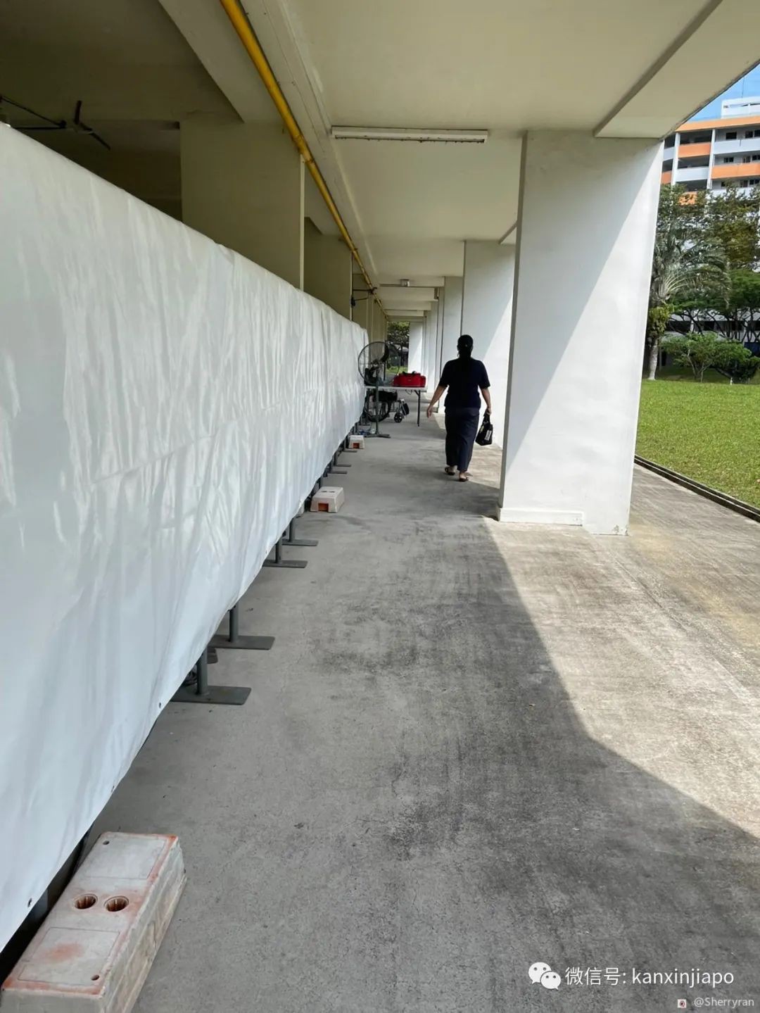 “若去過新加坡這座巴刹,請趕快去接受免費檢測”