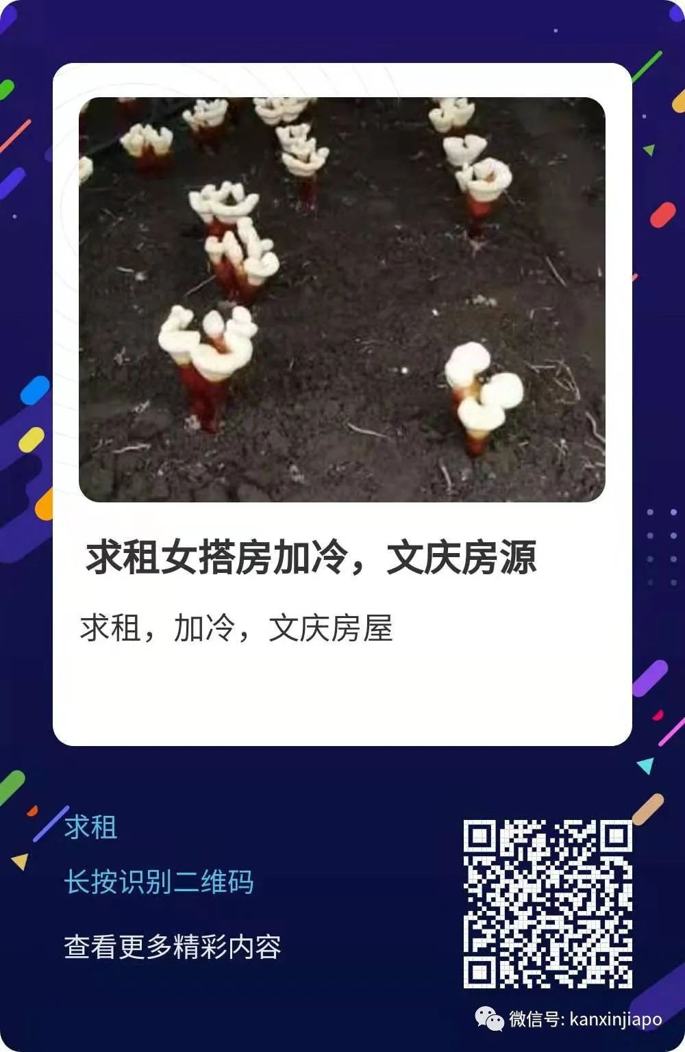 新加坡好房出租：市中心普通房400新币/月起