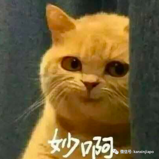 有錢不能花……新加坡用硬幣居然還有限制?