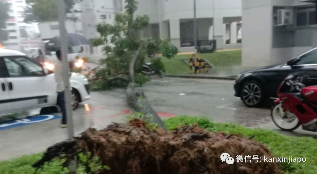 新加坡狂下豪雨，多处变汪洋，瞬间“入冬”