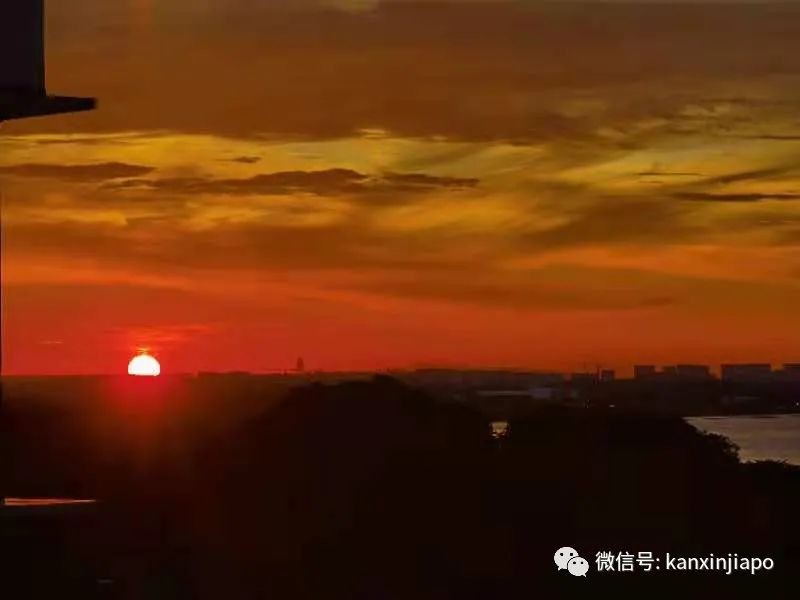 疯狂刷屏！新加坡橘红色晚霞，简直美翻了