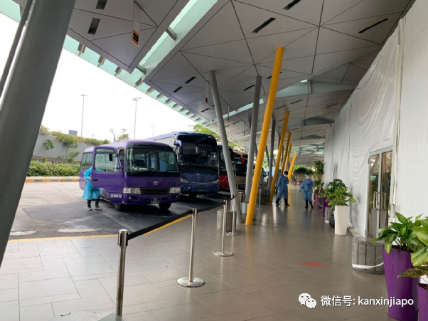 从伦敦飞13小时航程同排者确诊后，我在新加坡被这样安排