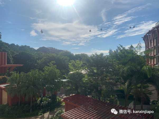 從倫敦飛13小時航程同排者確診後,我在新加坡被這樣安排