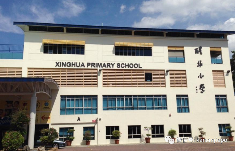 今增133 | 新加坡往返中国多地航班紧急取消；至少41所学校出现病例遍布全岛各地