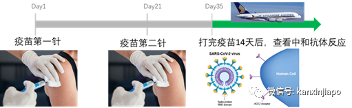 老人接种疫苗须知！从新加坡回中国妥妥的