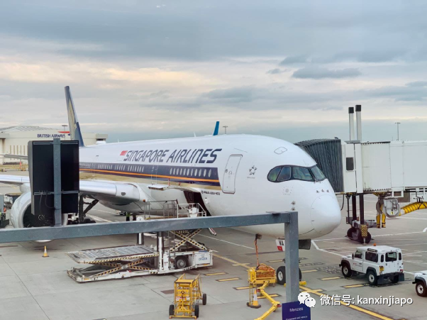 從倫敦飛13小時航程同排者確診後,我在新加坡被這樣安排